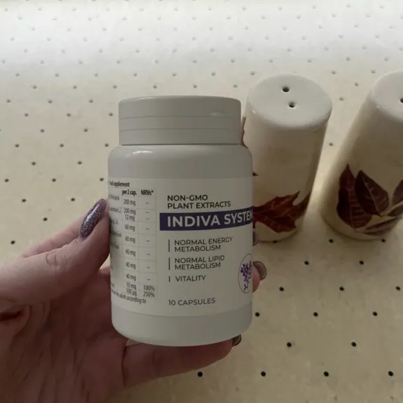 Indiva System — Fot. 2