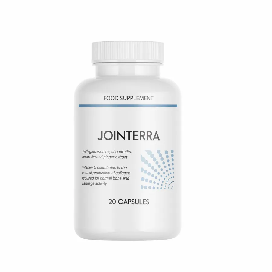 Jointerra — Imagine 3