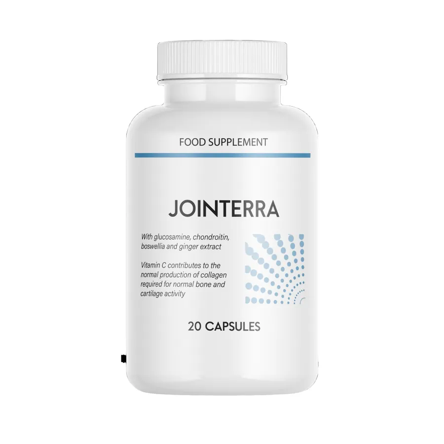 Jointerra — Imagine 5